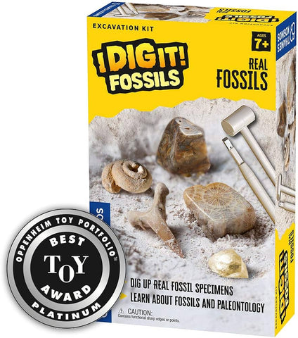 I Dig It Fossils Excavation Kit
