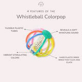 WhistleBall Colorpop Activity Toy