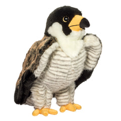 Douglas - Houston Falcon