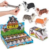 Stretch Collie