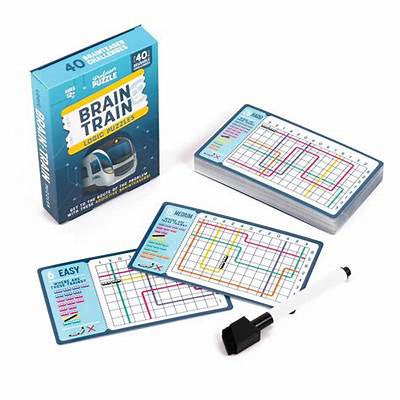 Brain Train Logic Puzzles 40 Reusable Challenges