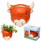 Ceramic Highland Cow Head - Wall Plant Pot
