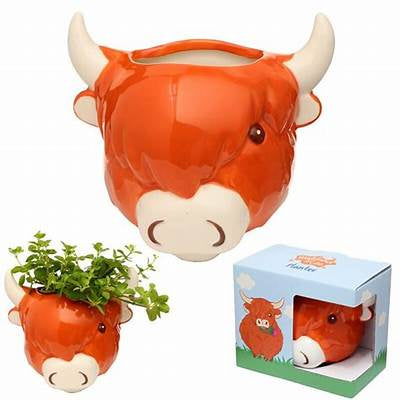 Ceramic Highland Cow Head - Wall Plant Pot