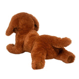 Douglas - Delanie Dachshund Soft