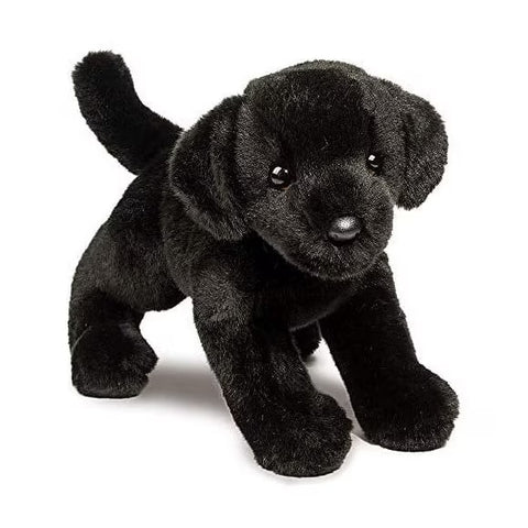 Douglas - Ghoulie Black Lab