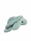 Douglas - Lil Baby Aqua Turtle