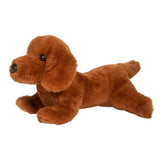 Douglas - Delanie Dachshund Soft