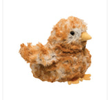 Douglas -Brown Multi Chick