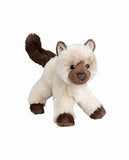 Douglas - Hilda Himalayan Cat
