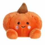Palm Pals Clip On Paisley Pumpkin