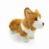 Douglas - Louie Corgi