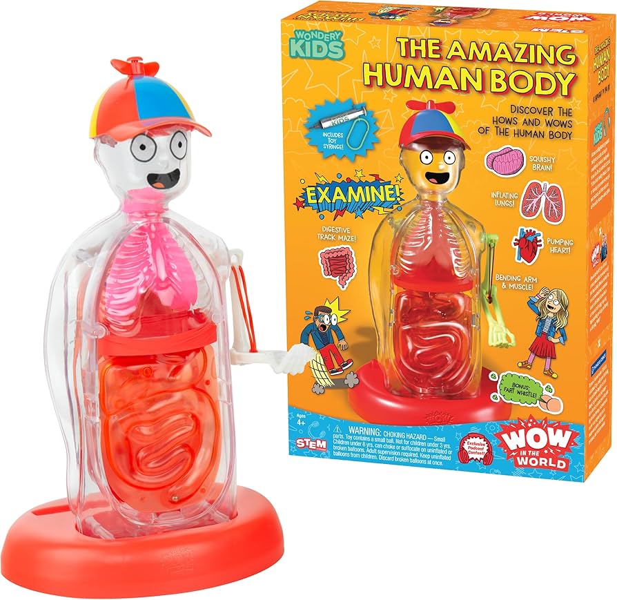 Body Experiment The Amazing Human Body Experiment Kit | Walkn On Water