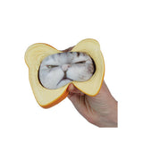 ORB Curiosities Pure Breads Pets Asst.