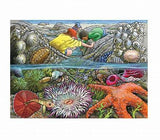 Exploring The Seashore 35 Pce Tray Puzzle