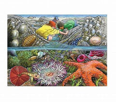 Exploring The Seashore 35 Pce Tray Puzzle