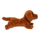 Douglas - Delanie Dachshund Soft