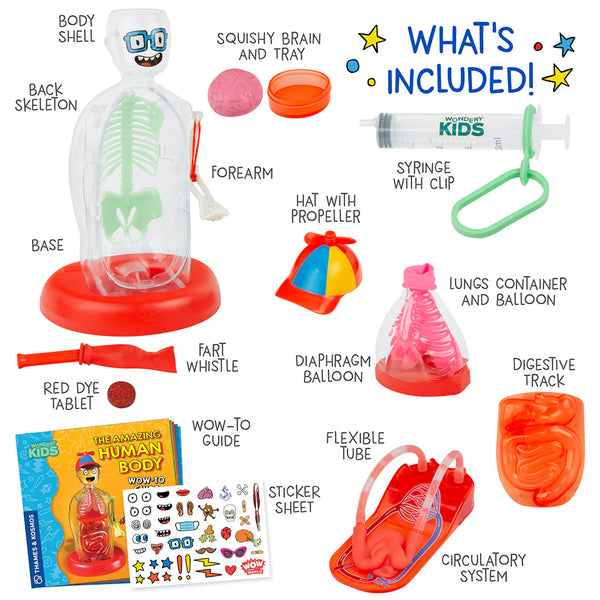 Body Experiment The Amazing Human Body Experiment Kit | Walkn On Water