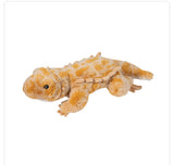 Douglas - Boogie Bearded Dragon Soft