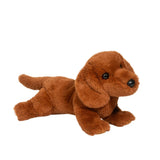 Douglas - Delanie Dachshund Soft