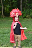 Great Pretenders Triceratops Hooded Cape Red 4-5