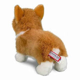 Douglas - Louie Corgi