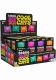 Teenie Nee Doh Cool Kittens 4 Pk