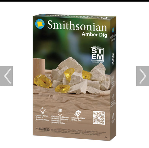 Smithsonian Amber Dig Out Kit
