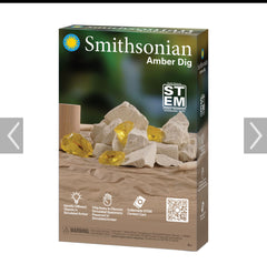 Smithsonian Amber Dig Out Kit