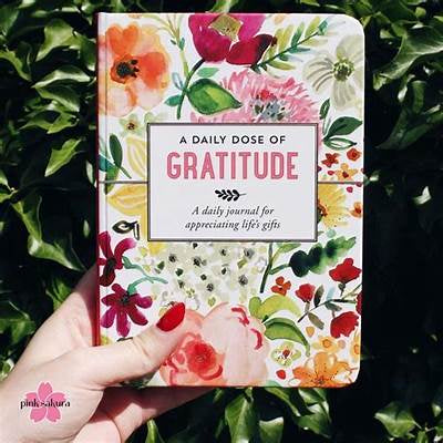 A Daily Dose Of Gratitude Journal