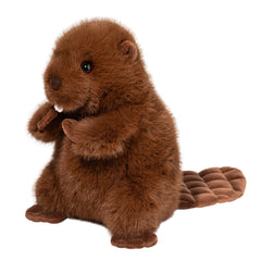 Douglas - Bev Beaver