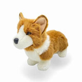 Douglas - Louie Corgi