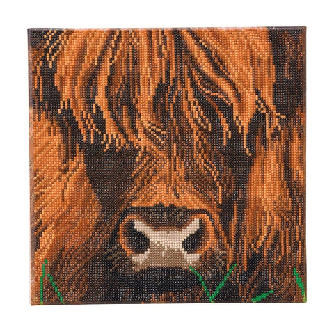 Crystal Art Kit 12”x12” Highland Cow