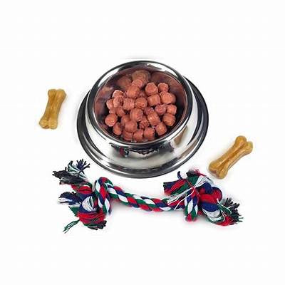 Perfect Petzzz Food Bowl/Toy Set