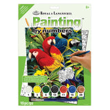 Painting By Numbers Red Scarlet Macaw Parrot