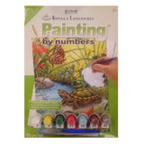 Painting By Numbers Red Eared Slider Turtle