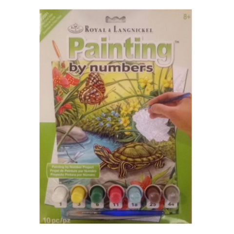 Painting By Numbers Red Eared Slider Turtle