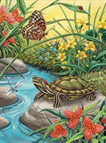 Painting By Numbers Red Eared Slider Turtle