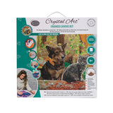 Crystal Art Kit 12"x12" Cat & Dog In The Woods