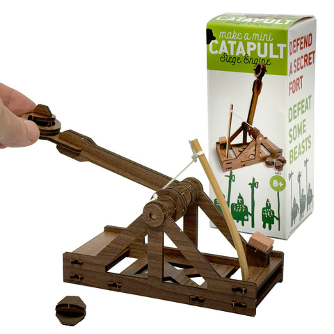 Make A Mini Catapult Kit