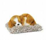 Perfect Petzzz Mini Cavalier King Charles