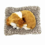 Perfect Petzzz Mini Cavalier King Charles