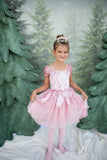 Great Pretenders Holiday Ballerina Dress Dusty Rose 5-6
