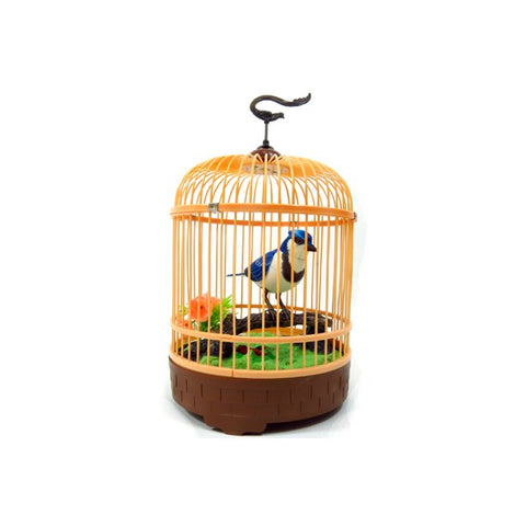 Beautiful Bird In Cage w/ Sound