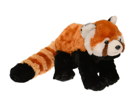 CK Red Panda