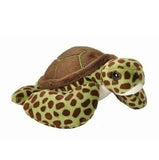 CK Sea Turtle Green