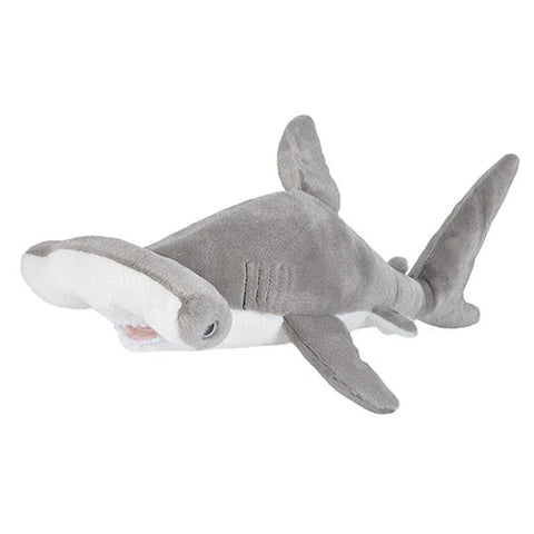 CK Hammerhead Shark