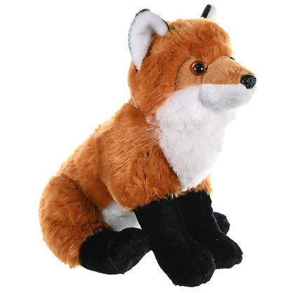 CK Red Fox