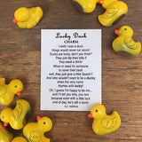 Lucky Duck Charm