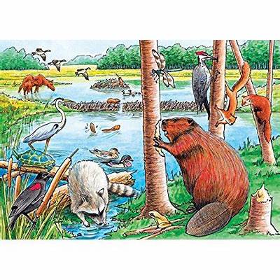 The Beaver Pond 35 Pce Tray Puzzle