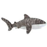 CK Tiger Shark